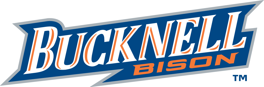 Bucknell Bison 2002-Pres Wordmark Logo v2 iron on transfers for clothing